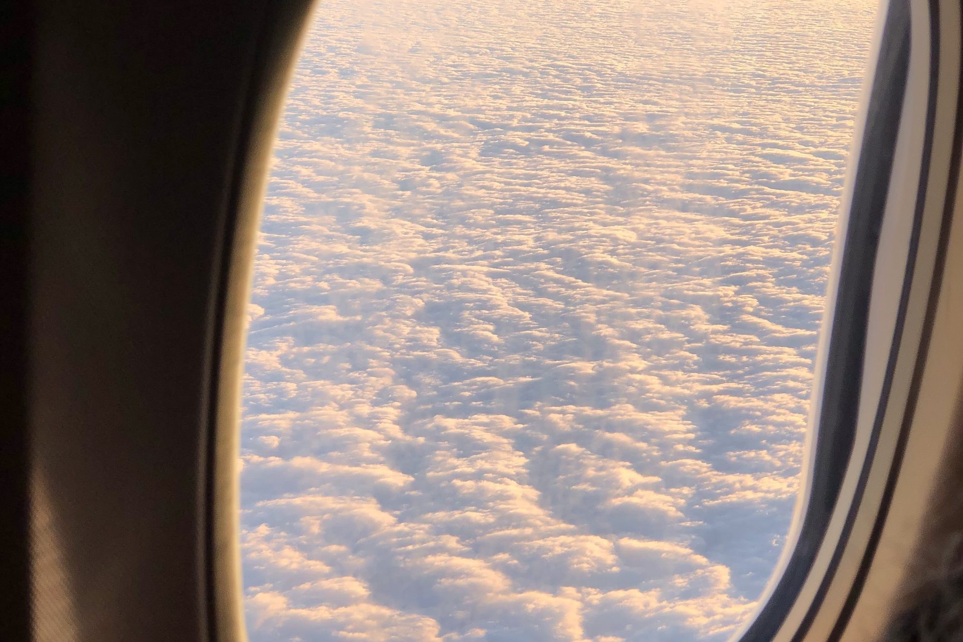 pexels-jill-burrow-6858661